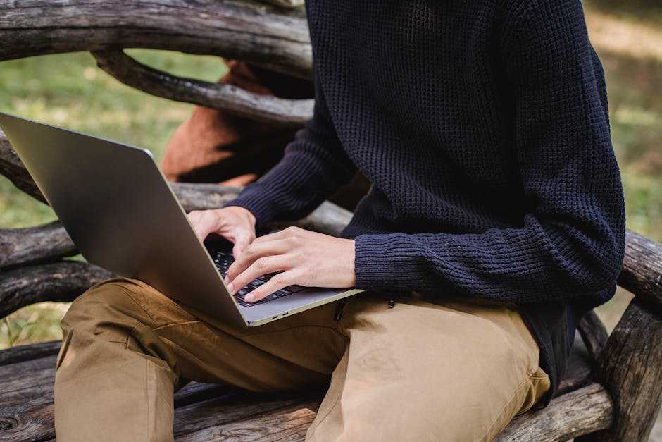 Why Public Wi-Fi Is a Digital Shark Tank